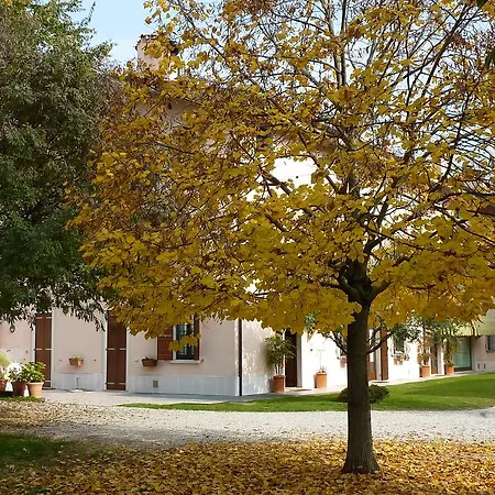 Il Giardino Alberato Апартаменты Валеджо-суль-Минчо