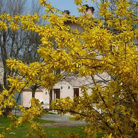 Апартаменты Il Giardino Alberato *
