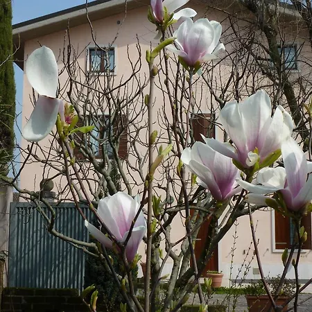 Il Giardino Alberato Апартаменты Валеджо-суль-Минчо