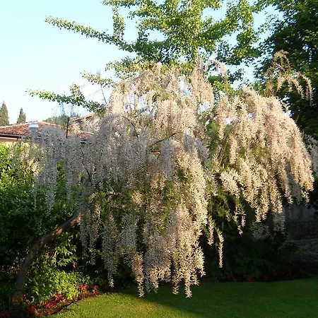 Il Giardino Alberato Апартаменты