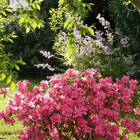 Апартаменты Il Giardino Alberato Валеджо-суль-Минчо