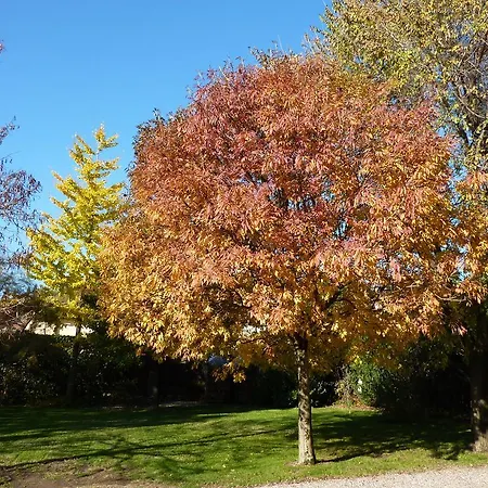 Il Giardino Alberato