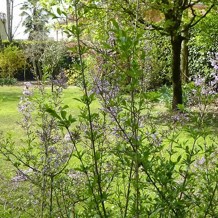 Il Giardino Alberato Apartment *
