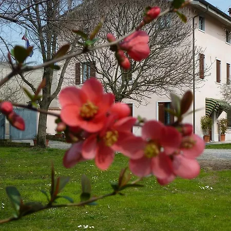 Apartment Il Giardino Alberato